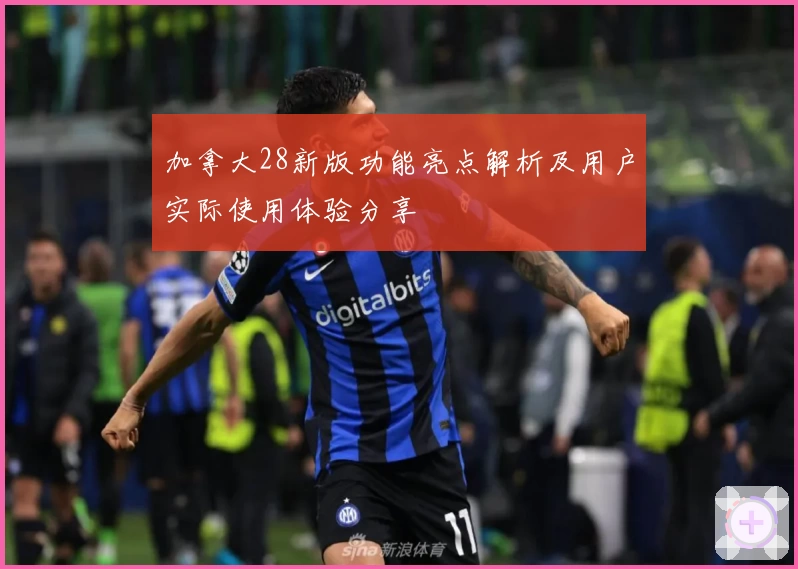 加拿大28新版功能亮点解析及用户实际使用体验分享