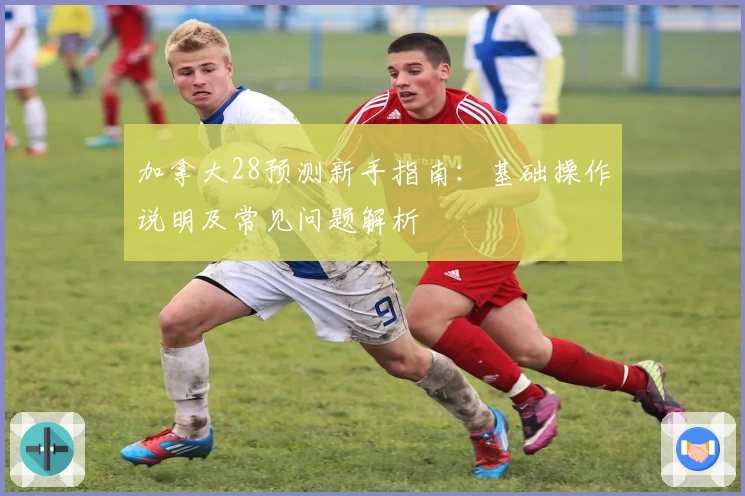 加拿大28预测新手指南：基础操作说明及常见问题解析