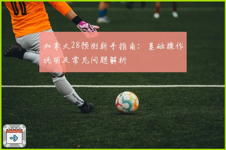 加拿大28预测新手指南：基础操作说明及常见问题解析