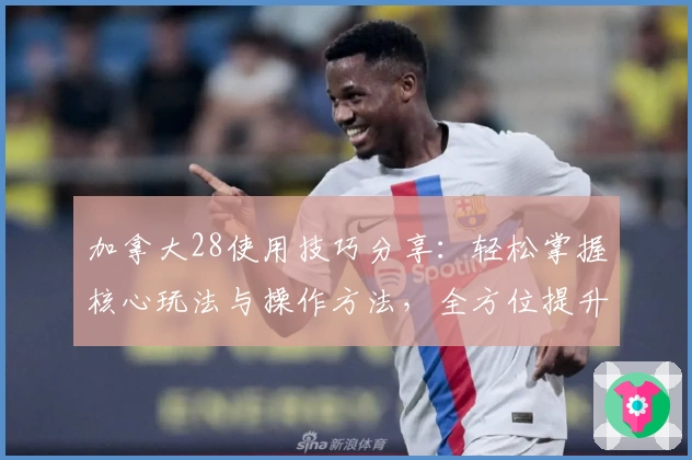 加拿大28使用技巧分享：轻松掌握核心玩法与操作方法，全方位提升您的使用体验