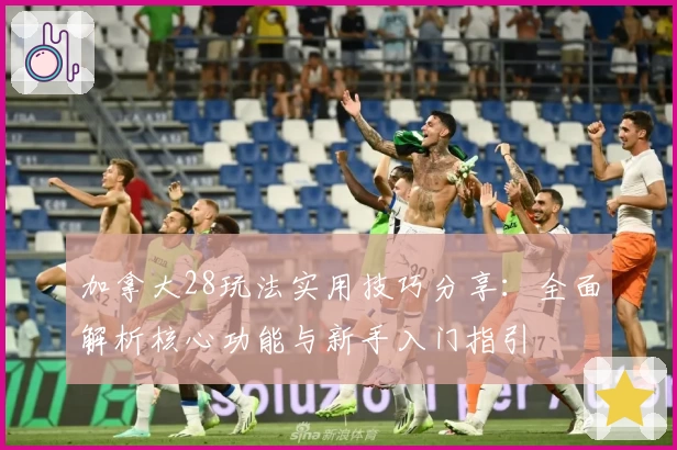加拿大28玩法实用技巧分享：全面解析核心功能与新手入门指引
