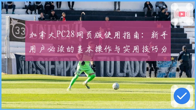 加拿大PC28网页版使用指南：新手用户必读的基本操作与实用技巧分享