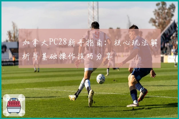 加拿大PC28新手指南：核心玩法解析与基础操作技巧分享