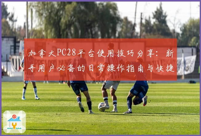 加拿大PC28平台使用技巧分享:新手用户必备的日常操作指南与快捷访问方法解析