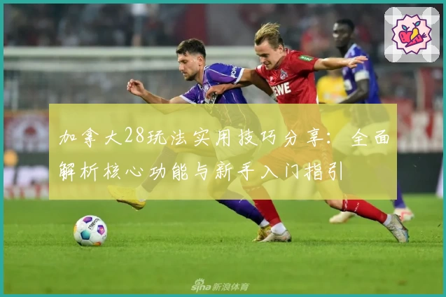 加拿大28玩法实用技巧分享：全面解析核心功能与新手入门指引