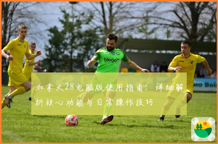 加拿大28电脑版使用指南：详细解析核心功能与日常操作技巧