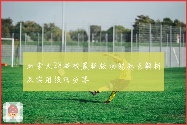 加拿大28游戏最新版功能亮点解析及实用技巧分享