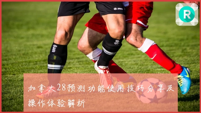 加拿大28预测功能使用技巧分享及操作体验解析